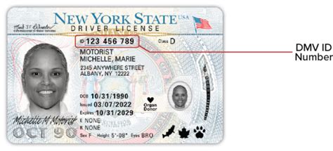 document number on enhanced license ny|DMV Document Guide .